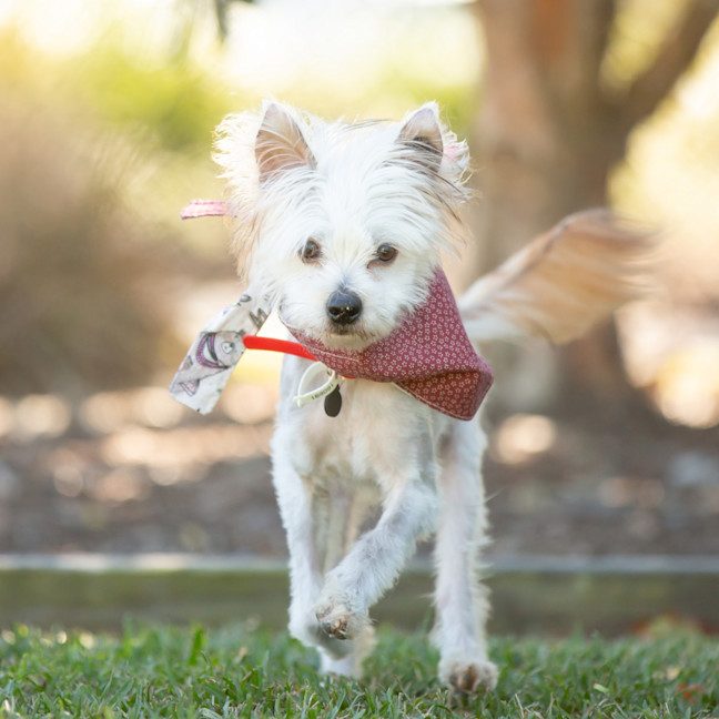 Photo of Jack Sprout