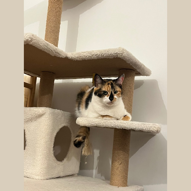 Photo of Missy