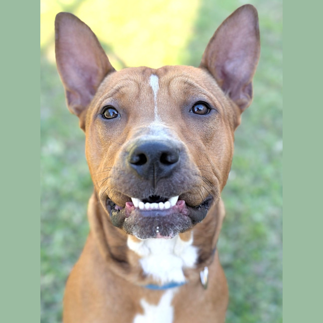Photo of Reuben