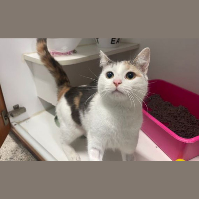 Photo of Mabel