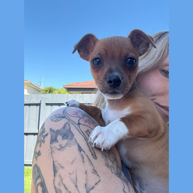 Photo of Bruno
