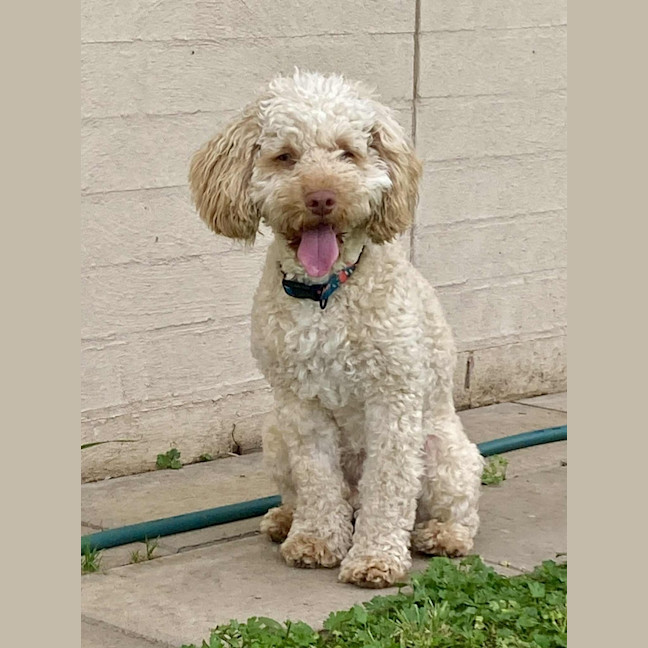 Photo of Georgie