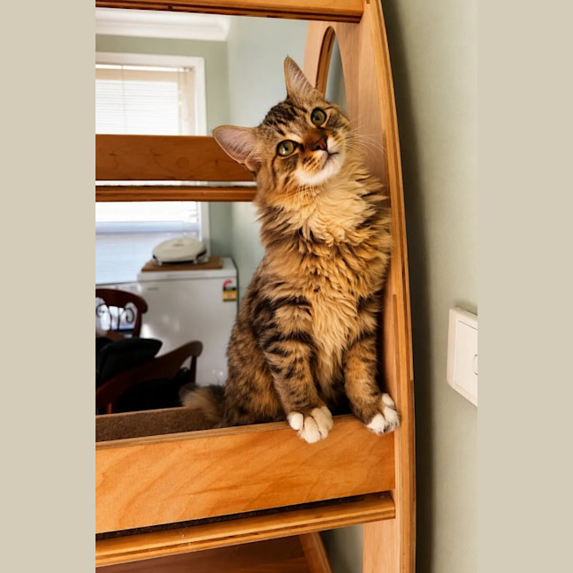Photo of Fred