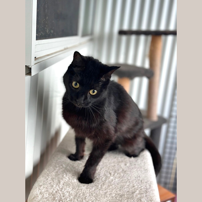 Photo of Molly