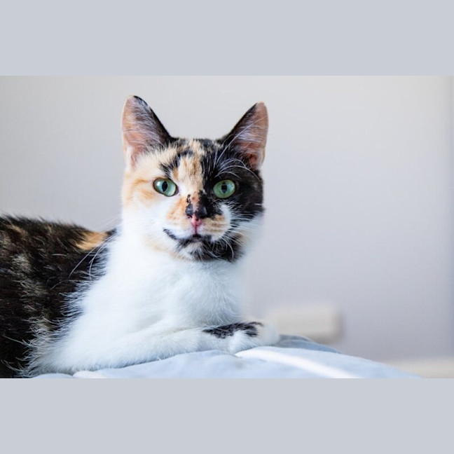 Photo of Molly