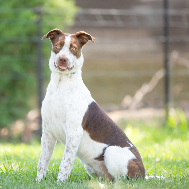 Photo of Coco