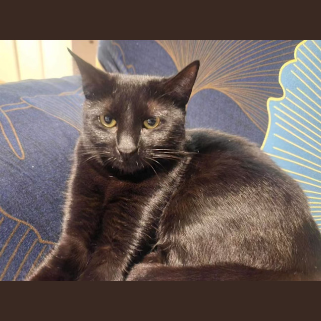 Photo of Freya