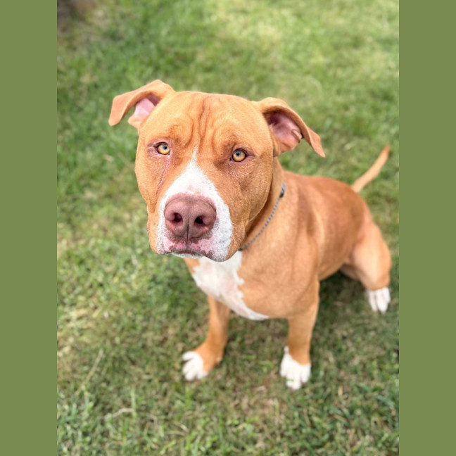 Photo of Duke