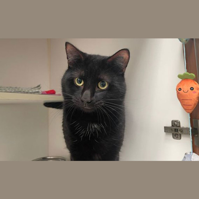 Photo of Taco