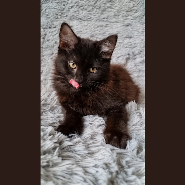 Photo of Athena