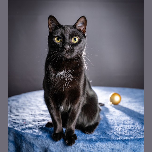 Photo of Betty