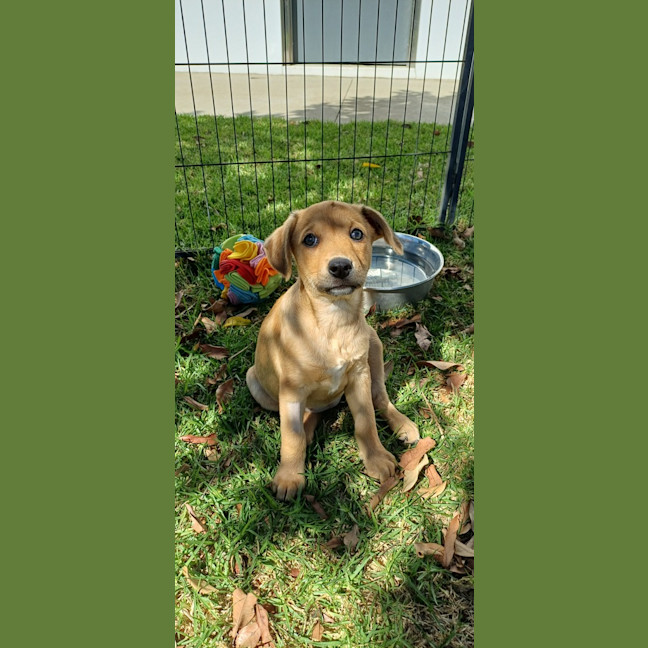 Photo of Beemer