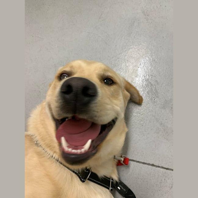 Photo of Jeffrey 'Good Boy' Jones