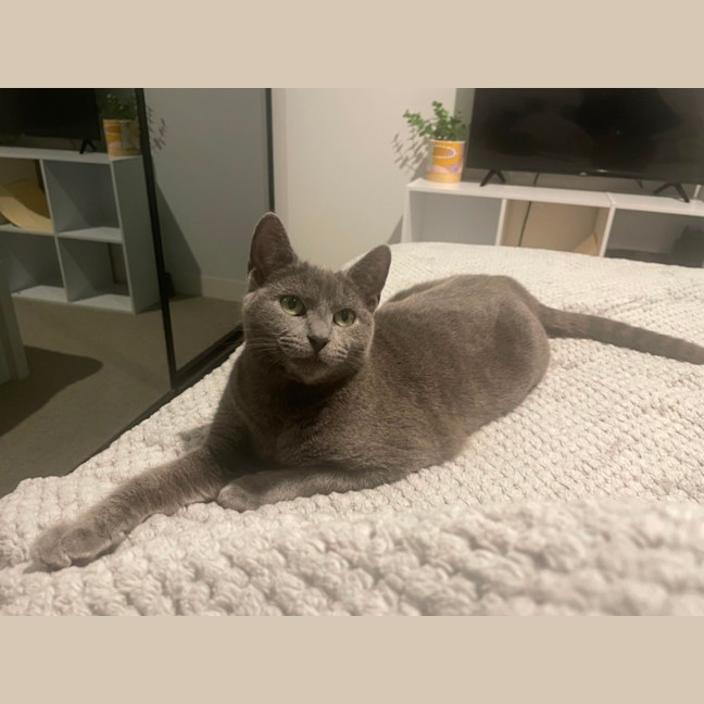 Photo of Sprinkle 🧁 