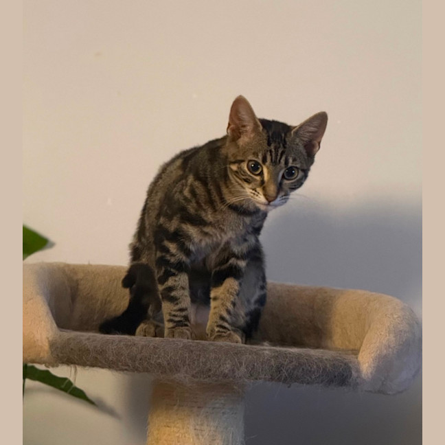 Photo of Sophie 