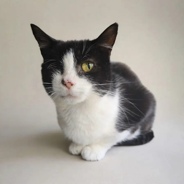 Photo of Lucky