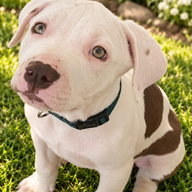 Photo of Mala