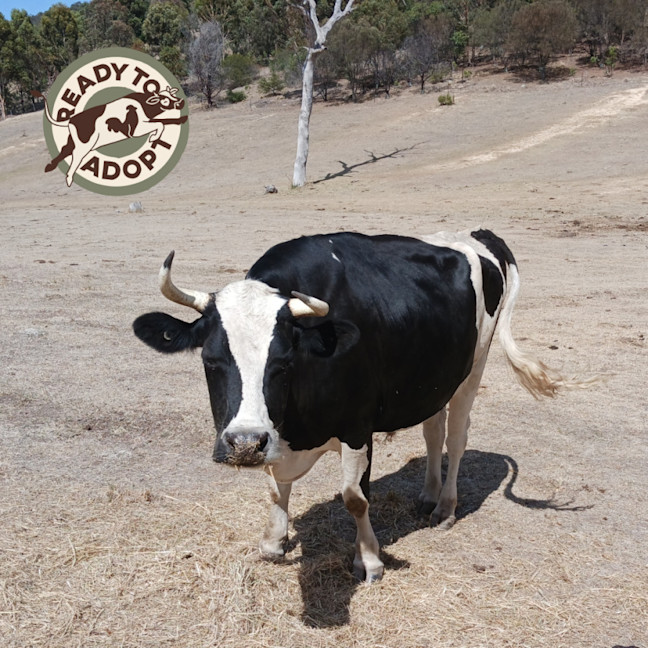 Photo of Jeremy And Ferdinand