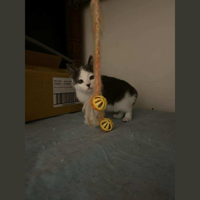 Photo of Hazel