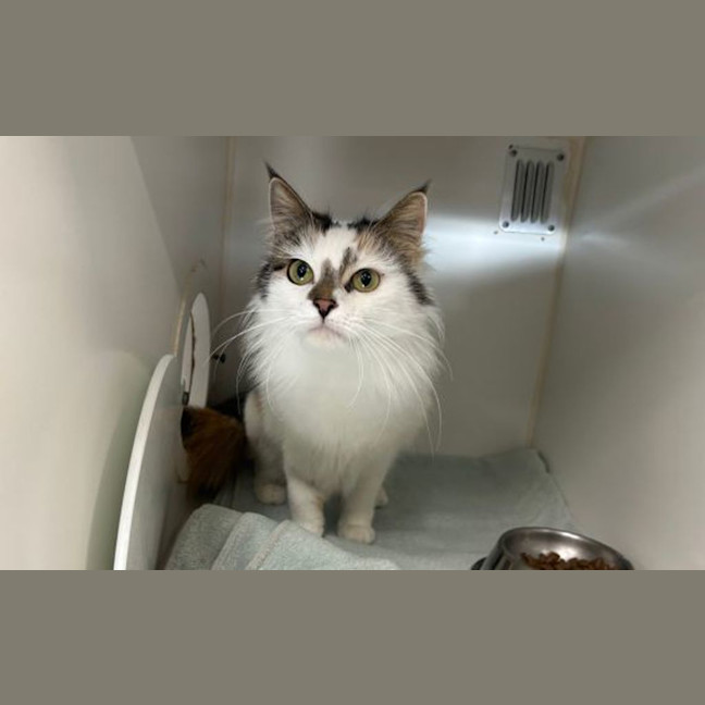 Photo of Jewel
