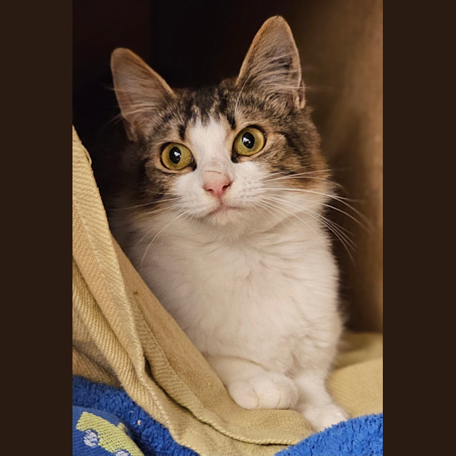 Photo of Ziggy
