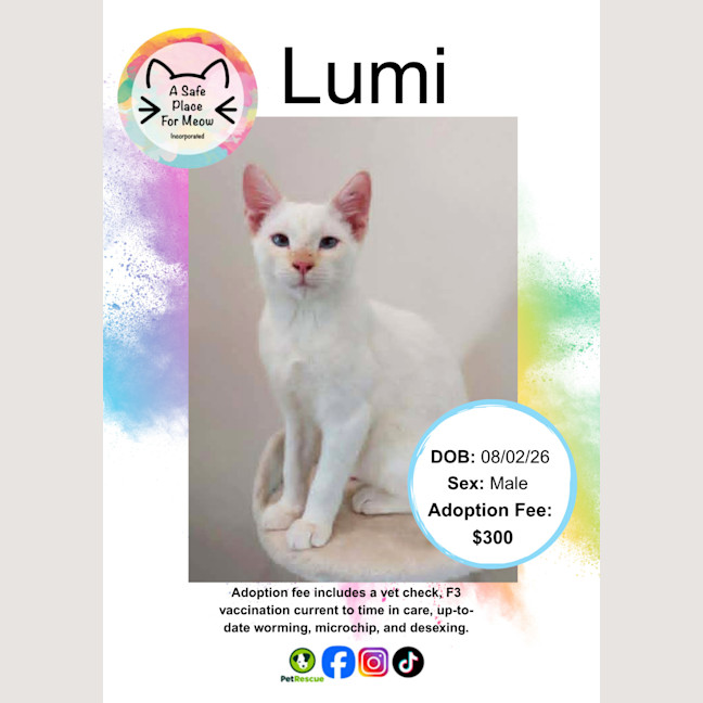 Photo of Lumi