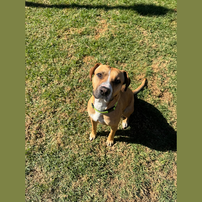 Photo of Mikey   Max