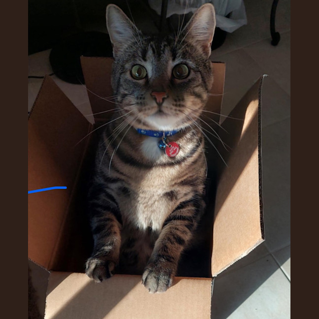 Photo of Sid