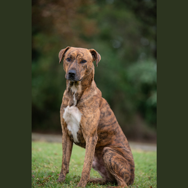 Photo of Remy