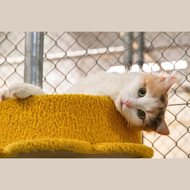 Photo of Ruth Russelton