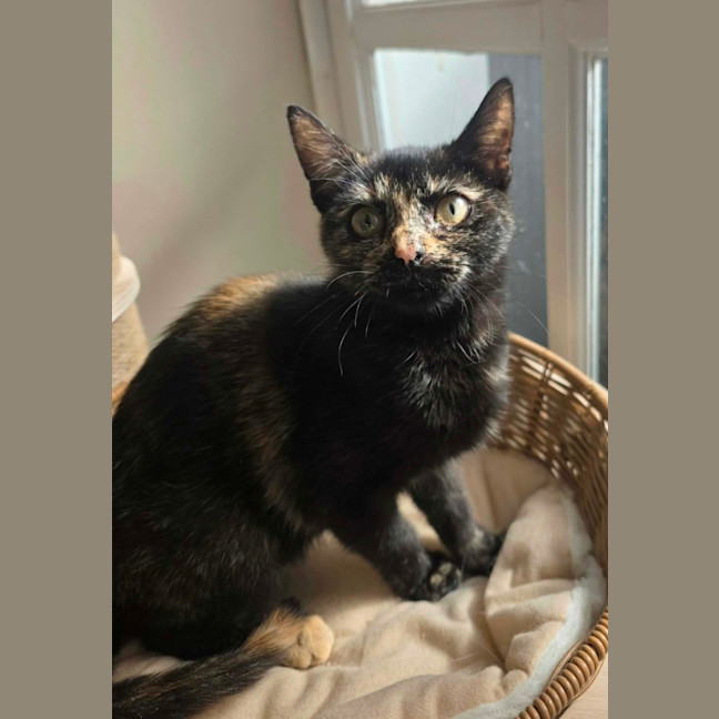Photo of Hilary 