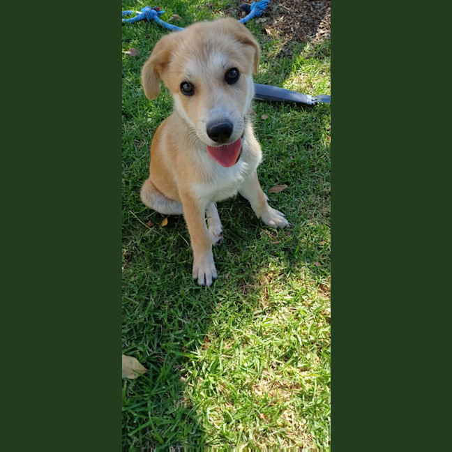 Photo of Zuko