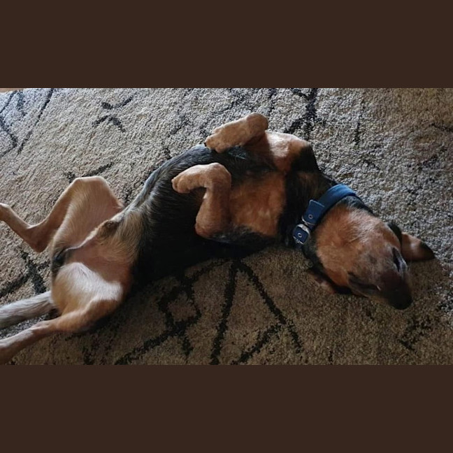 Photo of Wesley’s Theory