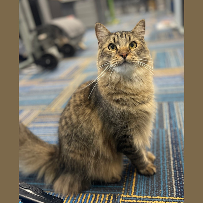 Photo of Timmy