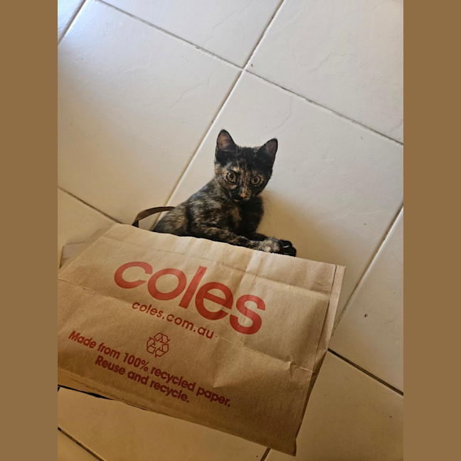 Photo of Jane (Now Maggie)