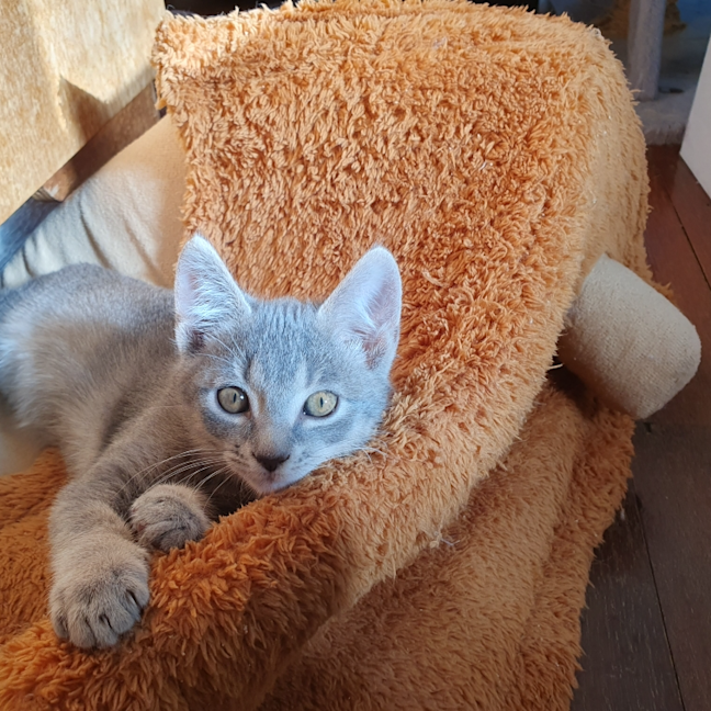 Photo of Terry