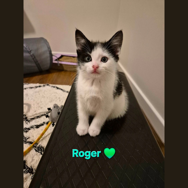 Photo of Roger Meet Me@Petstock Carrum Downs Store 