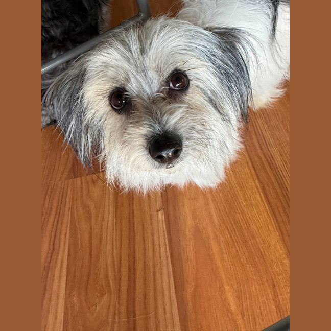 Photo of Hazel