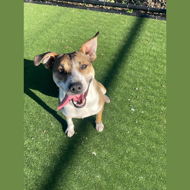 Photo of Kobe Imp 1375