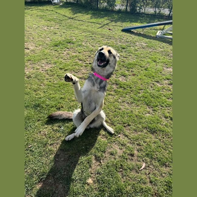 Photo of Sookie Imp 2206
