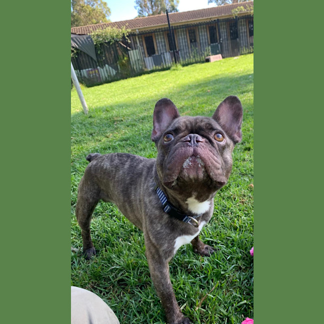 Photo of Elmer