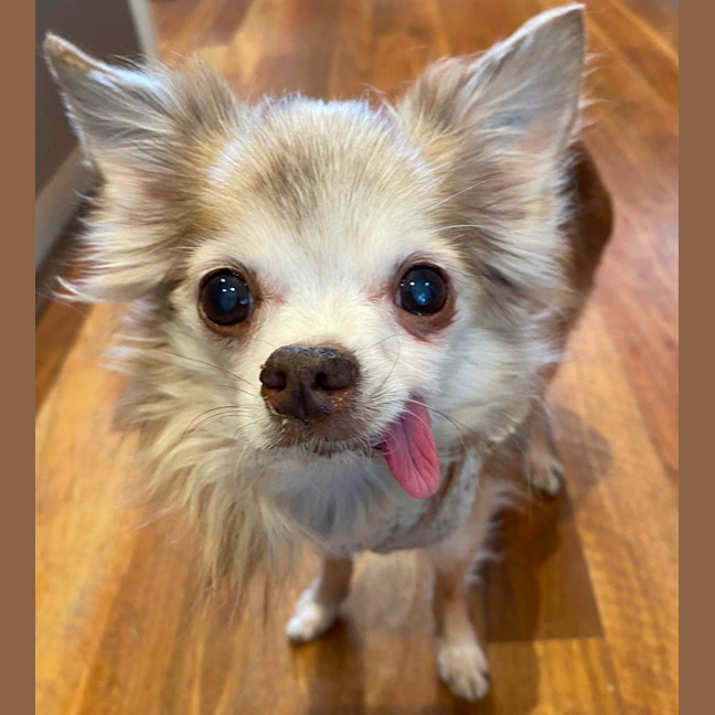 Photo of Jordy