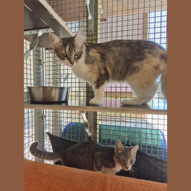 Photo of Spring! 🌷