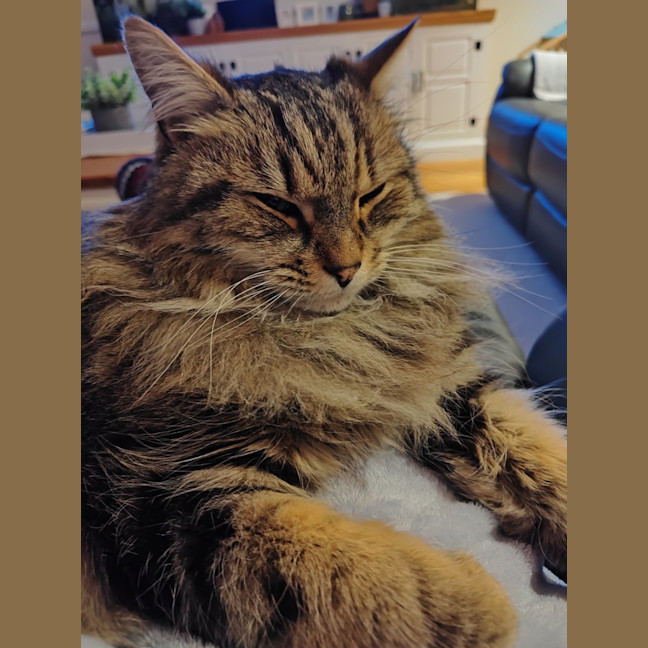 Photo of Jax