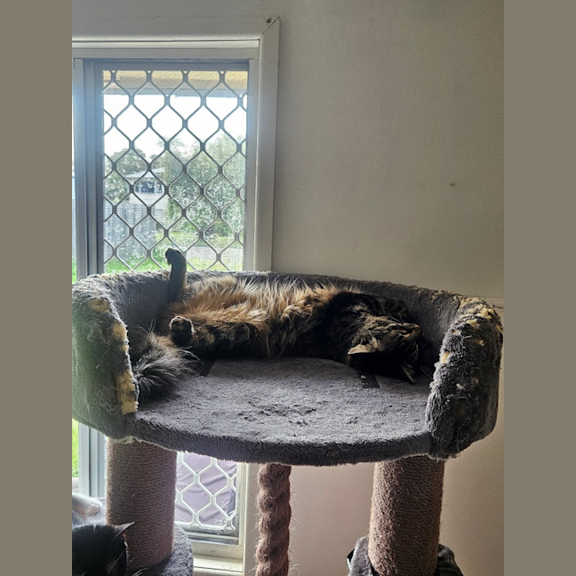 Photo of Mia