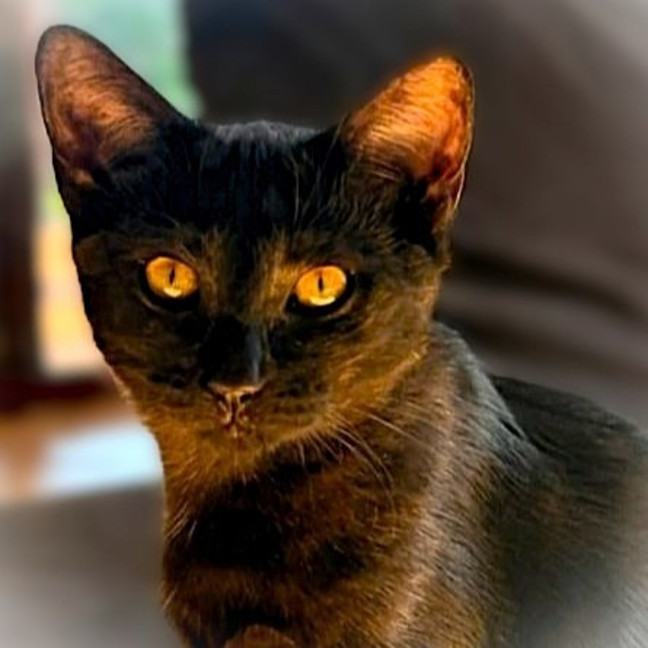 Photo of Elphaba