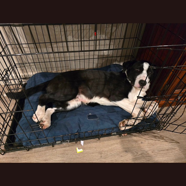 Photo of Maynard