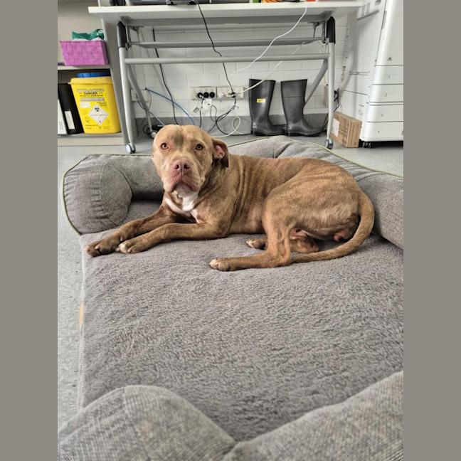 Photo of Meggie 💜