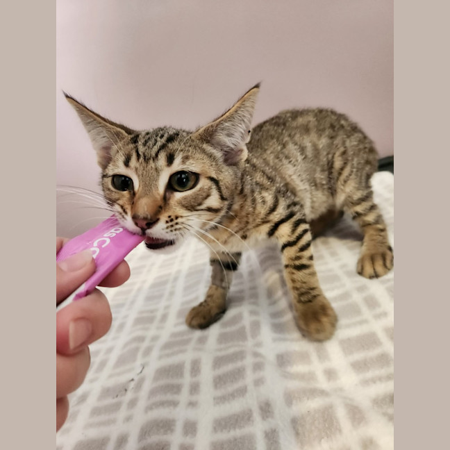 Photo of Andy   On Display @ Vets On Parker