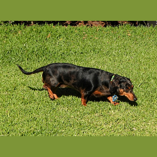 Photo of (Titch) Roxie